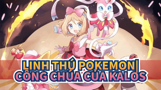 Linh thú Pokemon|【Dành cho công chúa của Kalos】Ước mơ của bạn chỉ mới bắt đầu