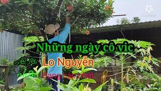 Nhạc chế những đồi hoa sim