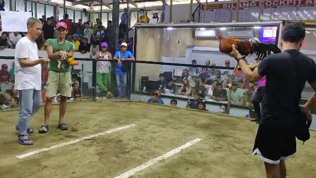 1st fight win