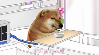 熬吧熬吧熬夜人