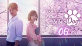 🇰🇷 Ep.6 | A GoodDay To Be A Dog [Eng Sub]