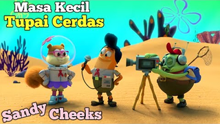 Masa Kecil Sandy Cheeks! Alur Cerita Kartun SpongeBob