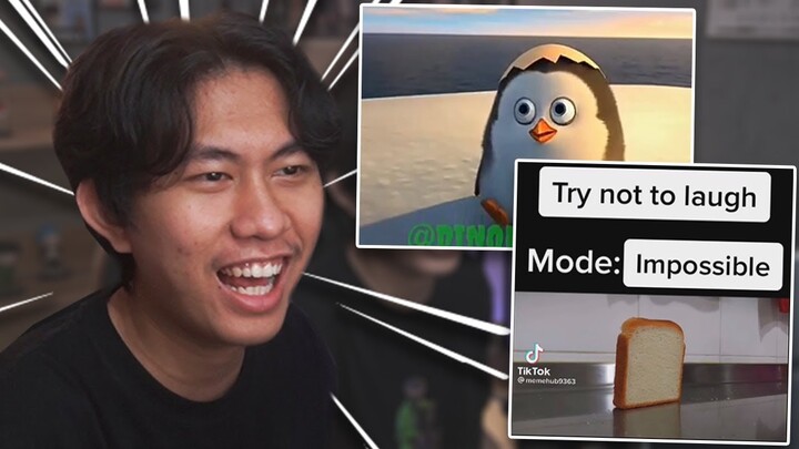 Pinguin PEKOB Makin Berkeliaran?? Langsung Gua Kasih ROLE!! - Komedi Discord