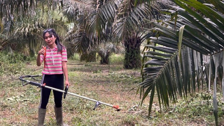 Beratnya kerja dikebun sawit || Jalan ekstrim parah !!