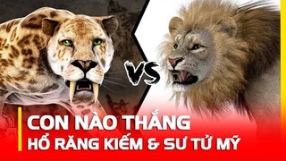 Hổ Răng Kiếm VS Sư Tử Mỹ | 2 Quái Vật Thời Tiền Sử Nào Mạnh Nhất?