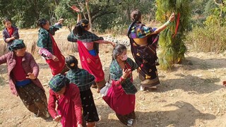 Girls Dancing in Traditional Nepalese Music Panchebaja | Marriage in Nepal |