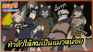 ทำตัวให้สมเป็นแมวหน่อย - นารูโตะ ตำนานวายุสลาตัน l พากย์ไทย