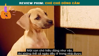 Chú chó dũng cảm -part2 #reviewphimhay