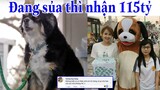 Đang trông nhà thì phải nhận 115tỷ - Top comment hài hước Face Book (p252)