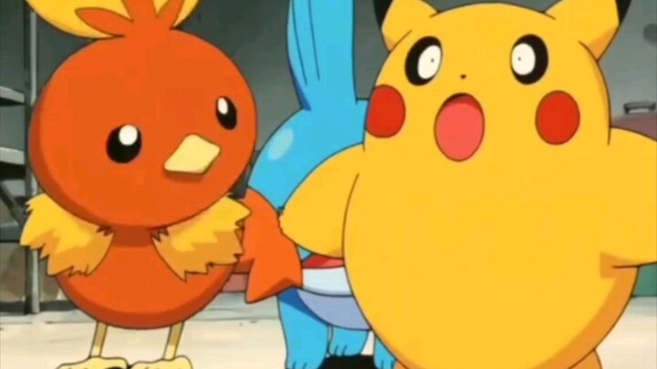 A collection of Pikachu's transformations. It turns out that Pikachu is the real Ditto.