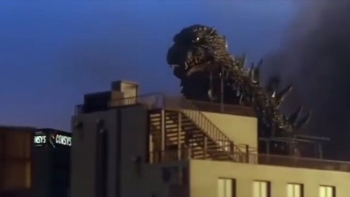 Mothra vs Godzilla di Godzilla-Tokyo SOS!!!