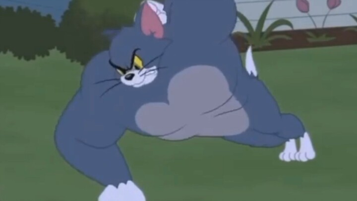 [AMV]Ketika Tom menjadi sangat disiplin <Tom and Jerry>