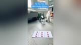 The cutest Tic Tac Toe players ever dogchallenge doglover games kleekai tictactoe