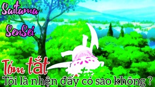 Tóm tắt phim anime hay: tôi là nhện đấy có sao không ?「saitama sensei」