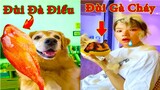 Thú Cưng TV | Gâu Đần và Bà Mẹ #18 | Chó Golden Gâu Đần thông minh vui nhộn | Pets cute smart dog