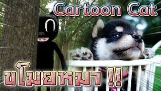 แมวดำปิศาจ..ขโมยลูกหมา !! จะทำไงดีเนี่ย Cartoon Cat & Dog - DING DONG DAD