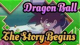 [Dragon Ball] When Bulma's Car Crushes Into Little Goku, The Story Begins