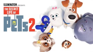 The Secret Life of Pets 2 Watch Full Movie : Link In Description