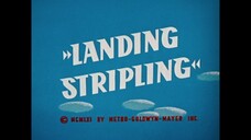 Tom & Jerry S05E16 Landing Stripling