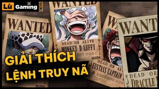 Giải thích Lệnh Truy Nã của Luffy, Băng Mũ Rơm, Buggy, Mihawk và Crocodile - Lù Gaming