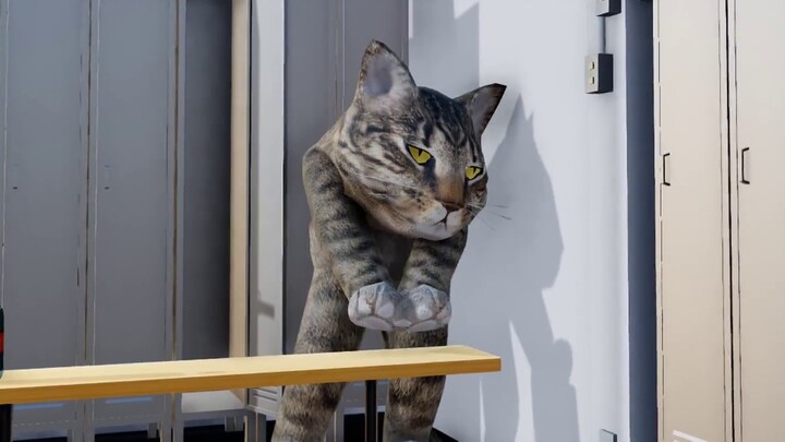 [Dressing Room] I am also a Guangdong cat, maybe we are from the same hometown~