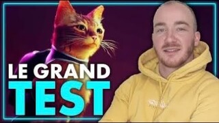 STRAY : Est-ce que CHAT vaut le coup ? 🔥 Notre GRAND TEST !