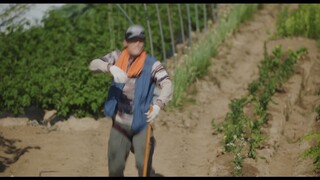 Nữ luật sư kỳ lạ Woo Young Woo EP 8 [Sub Việt]