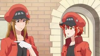 [Platelets in Henan dialect 2] Platelets = security guard?