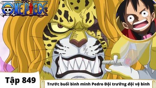 One Piece Tập 849 | Trước buổi bình minh Pedro Đội trưởng đội vệ binh | Tóm Tắt Anime Hay Buồn