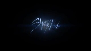 Stray Kids "STEP OUT 2025"