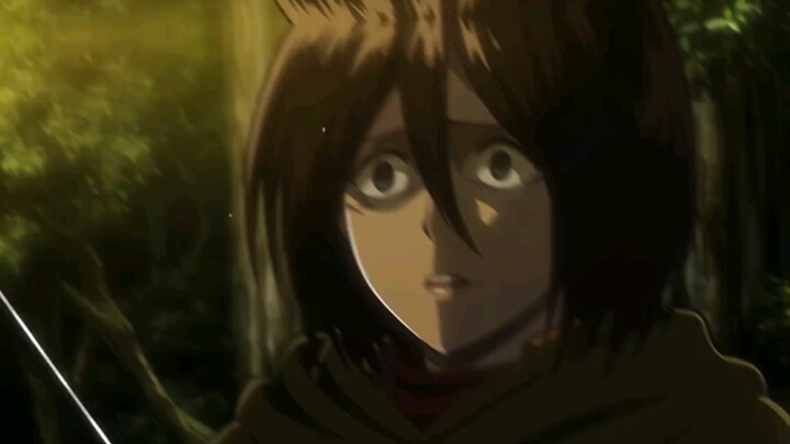 Maafkan aku, Mikasa, karena mencintaimu sepanjang hidupku dengan mata acuh tak acuh.