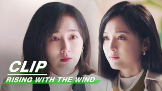 Zhaoyang Wants to Terminate the Contract | Rising With the Wind EP20 | 我要逆风去 | iQIYI