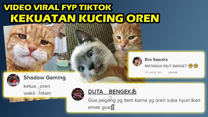 VIRAL!! REACTION VIDEO TIKTOK KUCING OREN YG VIRAL DI FYP TIKTOK