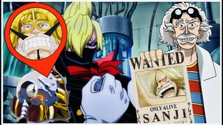 Die geheime SSG WAFFE | VEGAPUNK`s erfolgreiches Experiment - One Piece Theorie +1059