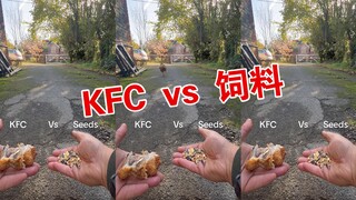 "KFC  vs  饲料"