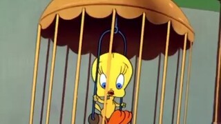 Tweety the Birdy