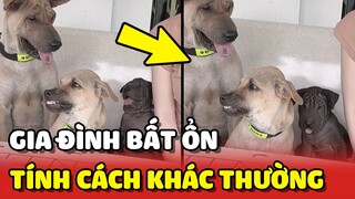 Gia đình BẤT ỔN nhà Lu: Mỗi đứa 1 tính cách KHÁC THƯỜNG 😂 | Yêu Lu