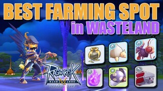 BEST FARMING SPOT IN WASTELAND MAP & TIPS - RAGNAROK MOBILE