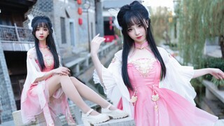 化作相思 解君忧愁❀落花情❀七朵组合