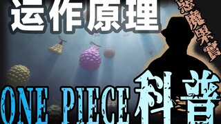 【海贼王科普第1期】恶魔果實运作原理，关于恶魔果实几件你所不知道的事