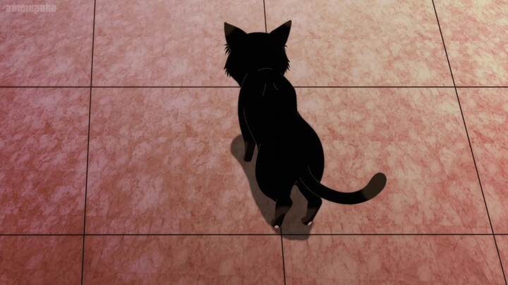 (12) Ang Dalubhasang Pusa ay Nalulumbay Na Naman Ngayon