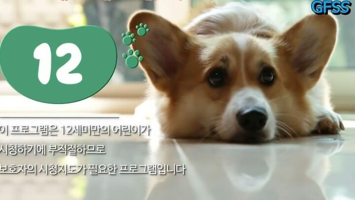 GFRIEND - Look After Our Dog Ep. 03