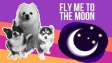 Fly Me To The Moon but it's Doggos and Gabe