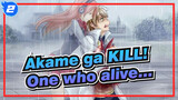 Akame ga KILL!|[Saddness]The one who survives is the one who suffers the most_2