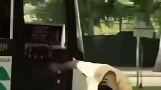 para daw