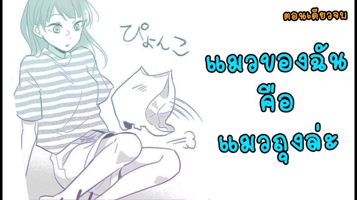 แมวของฉันคือ แมวถุง ล่ะ มังงะ [Fandub] oneshot