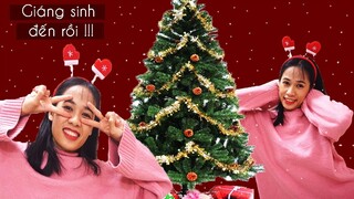 Trang trí cây thông noel - Giáng sinh 2019 - Cùng mắt to trang trí cây thông giáng sinh