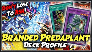 Branded Predaplant Deck Profile + Combo Tutorial! | July 2022 | Yu-Gi-Oh!