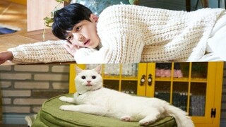 Meow, the Secret Boy (2020) - Episode 9