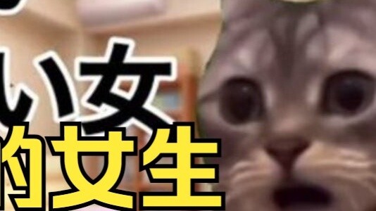 【Delicious】Daily life during menstruation period | Cat meme